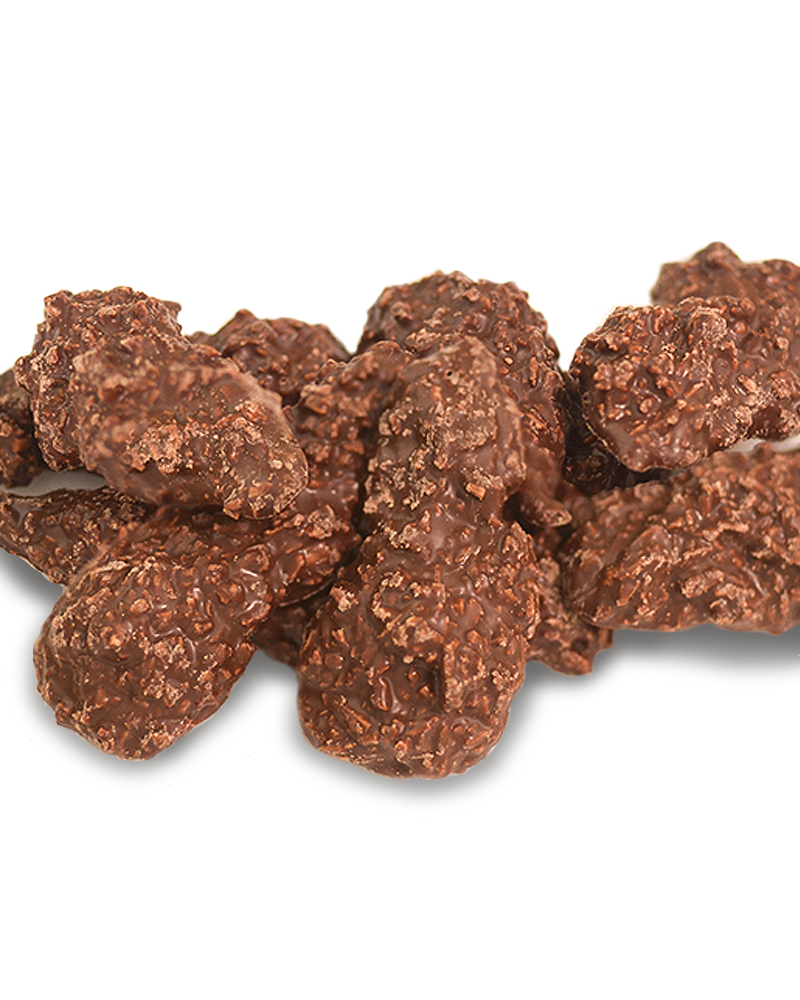 Coconut Rough Toasted in Dark Choc 180g