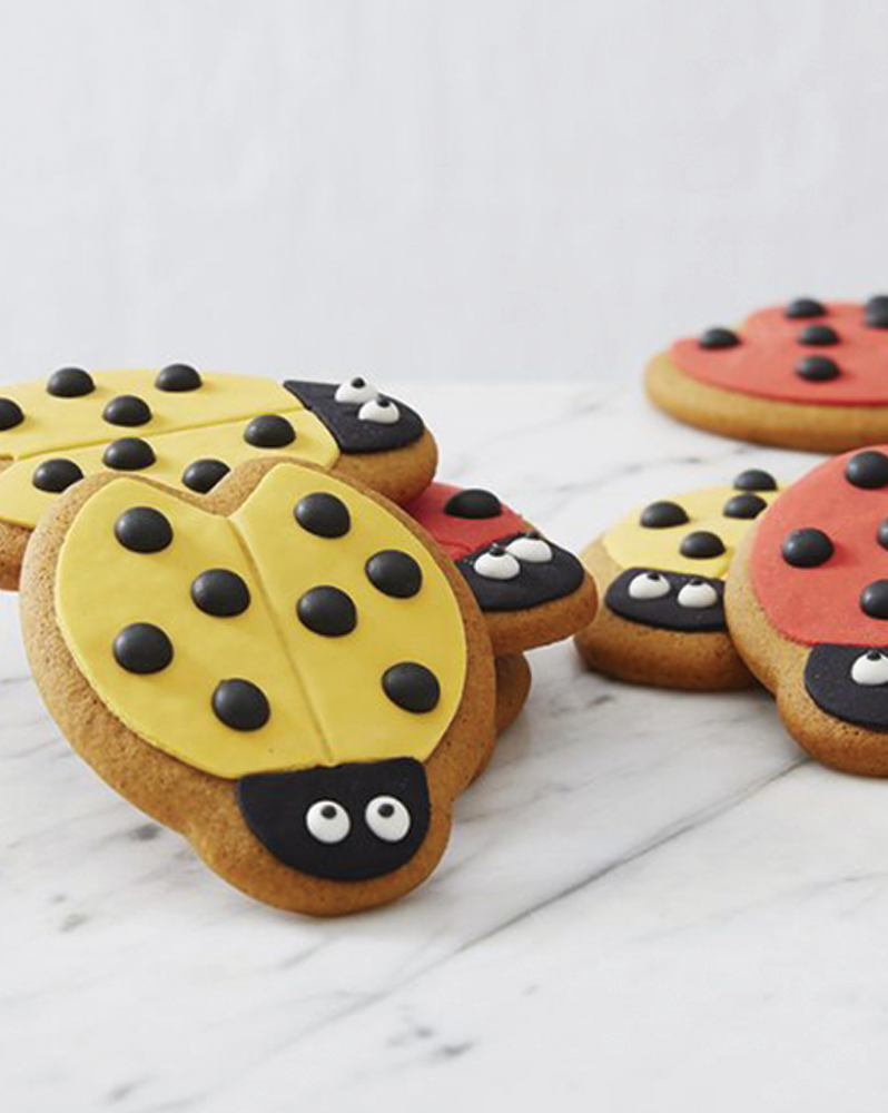 Lady Bug Honey Bread 32gx24 Bulk Box