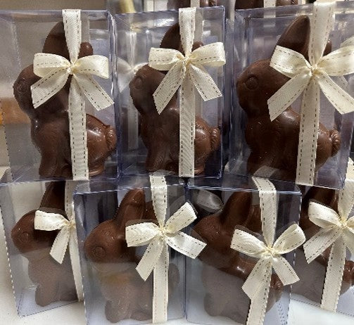 Milk Belgian Chocolate Picnic Bunny 70g - Acetate Gift Box with Bow (Pickup in store only)