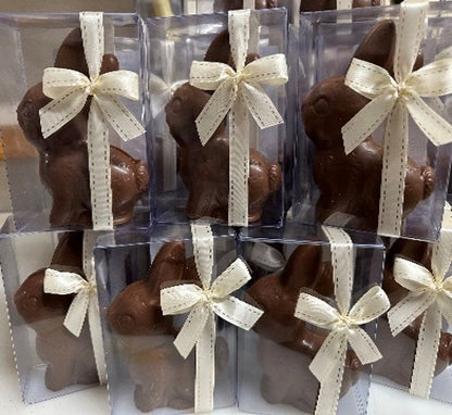 Milk Belgian Chocolate Picnic Bunny 70g - Acetate Gift Box with Bow  (Pickup in store only)