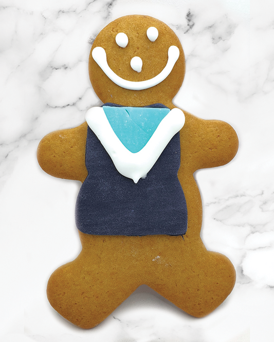 Port Adelaide Gingerbread 40gx20 Bulk Box