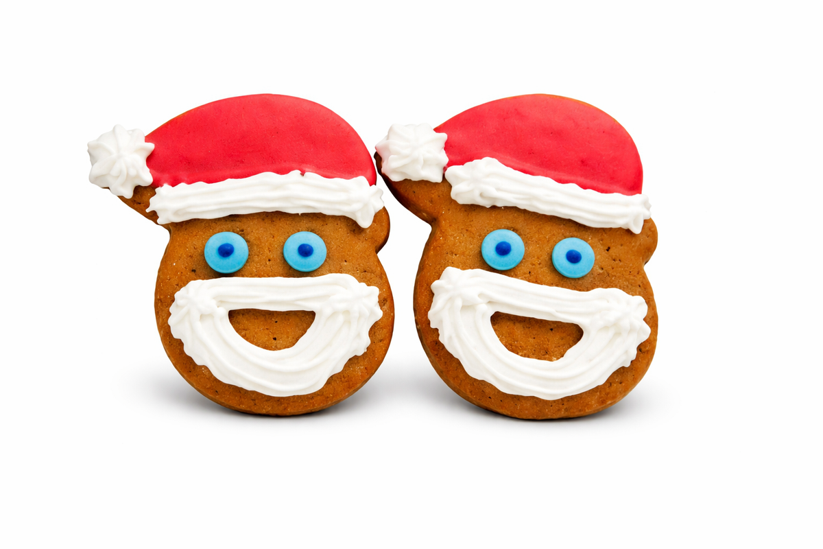 Santa Honey Bread 27gX24