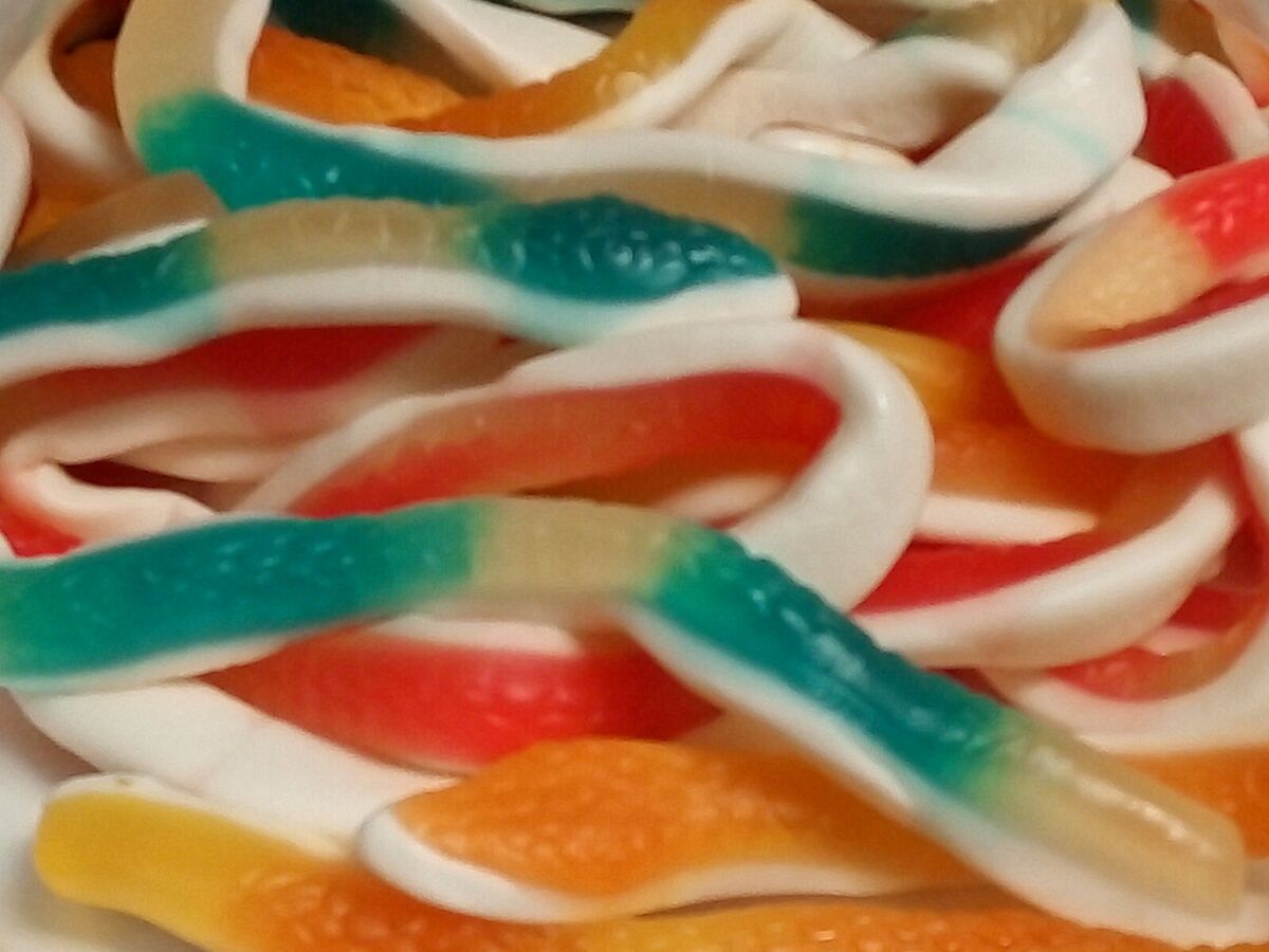 Snake Gummy Long 100g