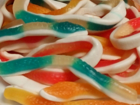 Snake Gummy Long 100g